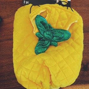 Dog costumes! Brand new. Dinosaur and pineapple.